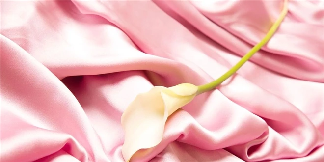 Genital Bölge Temizliği Nasıl Yapılır?