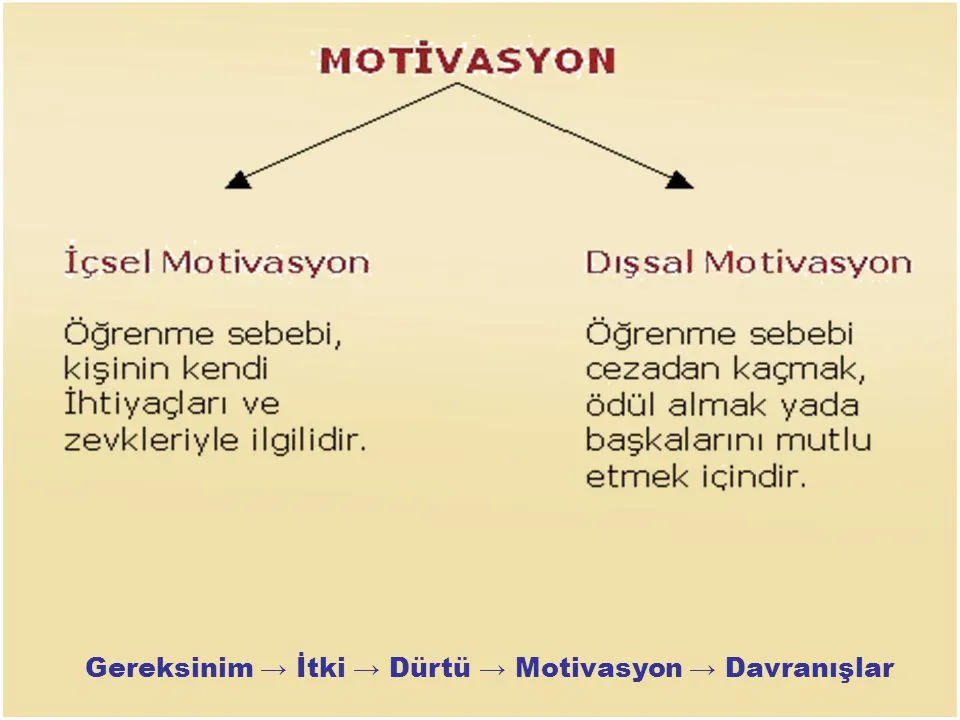 Kendi İçsel Sesin ve İçgüdülerin Gücünün Anlaşılması